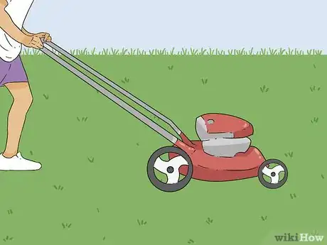 Image titled Bring Back Dead Grass Step 4