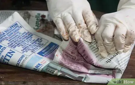 Image titled Clean and Prepare a Squid to Make Calamari Step 8