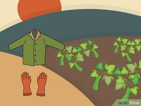 Image titled Harvest Zucchini Step 02