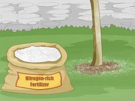 Image titled Stop a Cherry Tree from Bearing Fruit Step 3