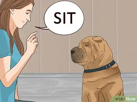Image titled Have Fun with Your Dog Outdoors Step 14