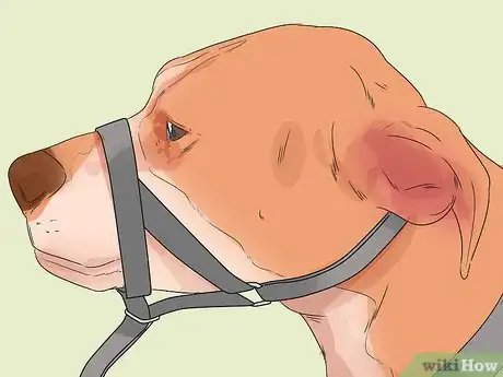 Image titled Identify and Correct Unwanted Dog Behaviors Step 13