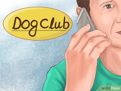 Image titled Pick a Healthy Adult Dog Step 2