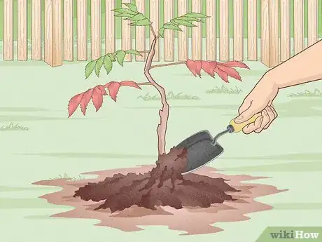 Image titled Plant Trees Near a Home without Damaging Your Foundation Step 14
