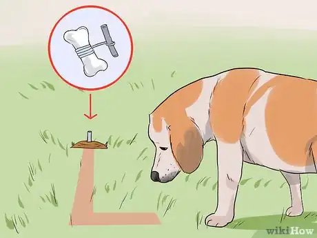 Image titled Have Fun with Your Dog Outdoors Step 11