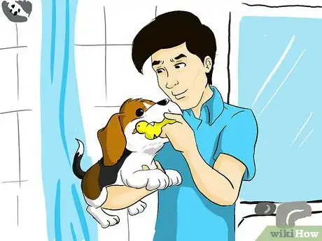 Image titled Pick the Perfect Puppy Step 4