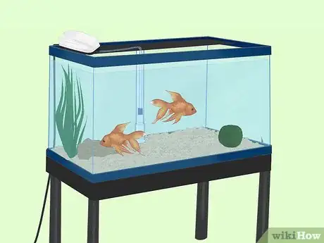 Image titled Clean an Aquatic Moss Ball Step 4