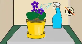 Grow African Violets Indoors