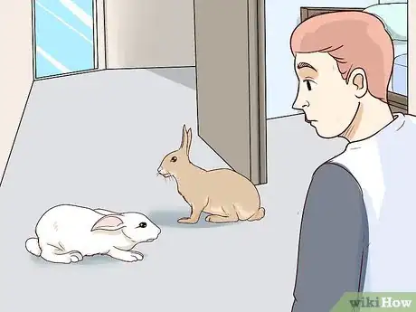 Image titled Keep Pet Rabbits Safe Step 11