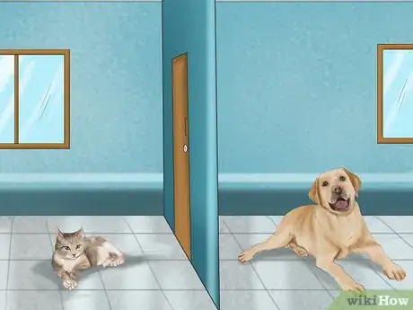 Image titled Make a Cat and Dog Get Along Step 3