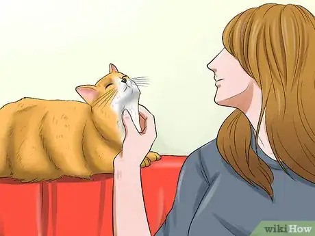 Image titled Prepare Your Cat for a New Baby Step 16