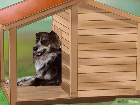 Image titled Keep Your Dog Safe in Extreme Weather Step 8