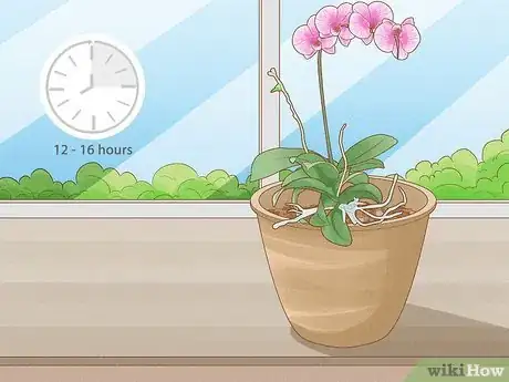 Image titled Repot Orchids with Air Roots Step 12