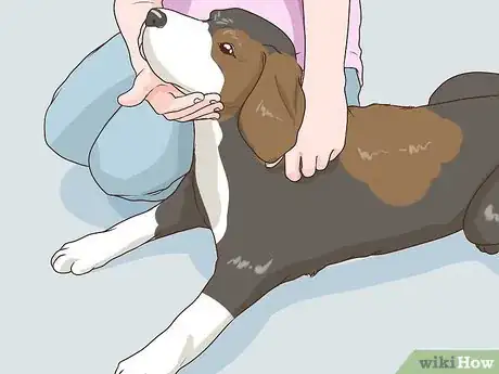 Image titled Keep a Roommate's Abusive Partner Out of Your Home Step 12