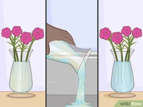Image titled Water Carnations Step 12