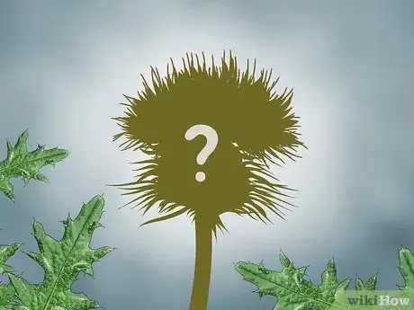 Image titled Root Out Thistles Step 5