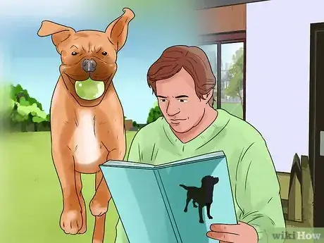 Image titled Train a Boxer Dog Step 1
