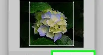 Change a Profile Picture on Viber on PC or Mac