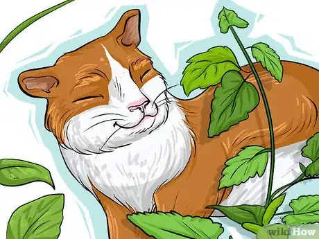 Image titled Choose Vegetables for a Shade Garden Step 8