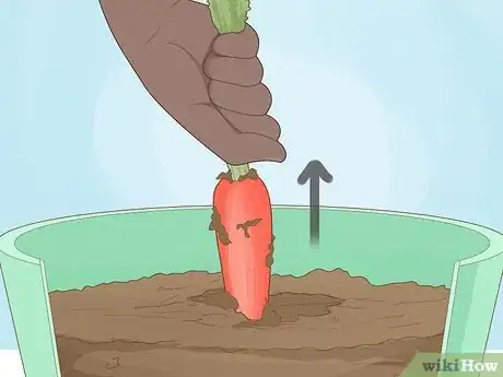 Image titled Plant a Woolworths Discovery Garden Step 18