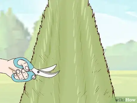 Image titled Prune Arborvitae Step 10