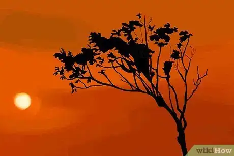 Image titled Photograph Animals Step 5