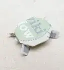 Make a Turtle out of a Dollar Bill