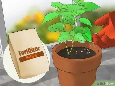 Image titled Fertilize Lantana Step 8