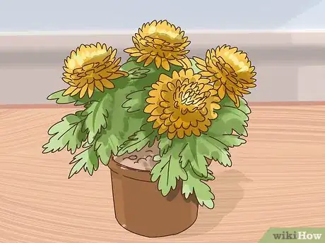 Image titled Choose Plants for Good Feng Shui Step 8