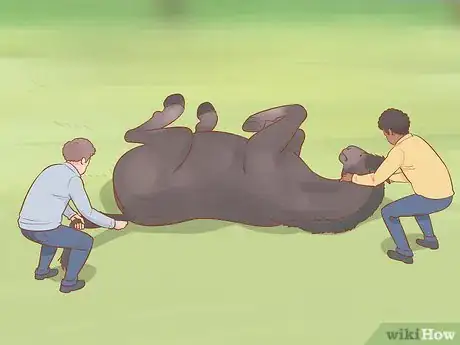 Image titled Uncast a Horse Step 7