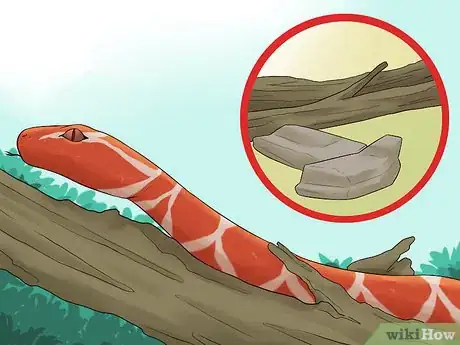 Image titled Care for a Shedding Snake Step 6