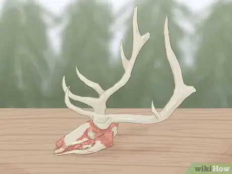 Image titled Mount Antlers Step 2