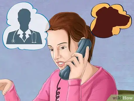 Image titled Keep Your Dog and Other Dogs Safe at the Vet Step 1