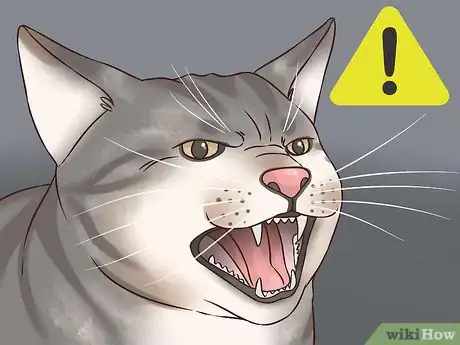 Image titled Help an Indoor Cat Being Tormented by an Outdoor Cat Step 1