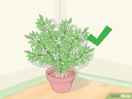 Image titled Decorate a Corner Step 7