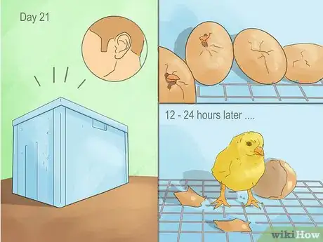 Image titled Make a Simple Homemade Incubator for Chicks Step 11