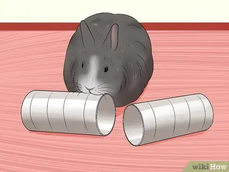 Image titled Care for Jersey Wooly Rabbits Step 9