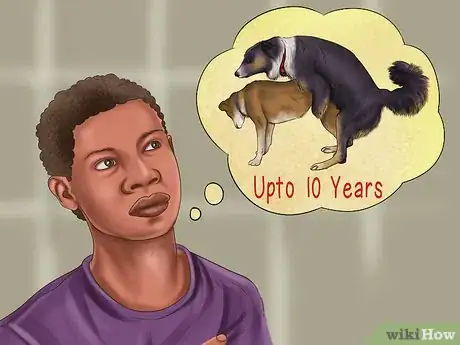 Image titled Know when to Stop Breeding a Male Dog Step 1