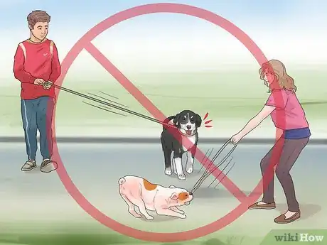 Image titled Exercise Your Puppy Step 11