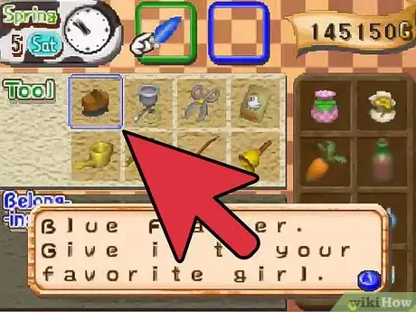 Image titled Get Married on Harvest Moon 64 Step 1