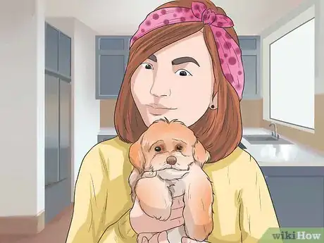 Image titled Care for Shihpoos Step 2