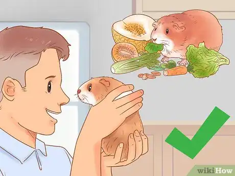 Image titled Neuter Your Guinea Pig Step 9