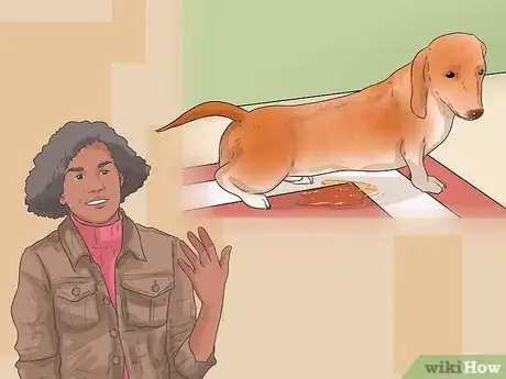 Image titled Understand Small Dog Syndrome Step 4