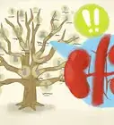 Improve Kidney Function
