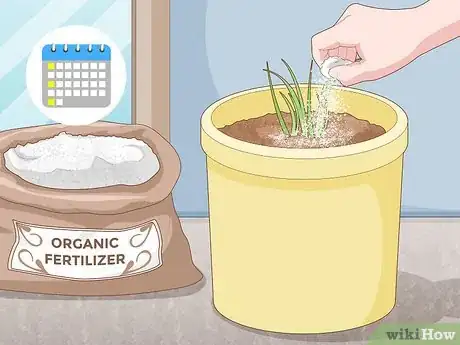 Image titled Grow Chives Indoors Step 16