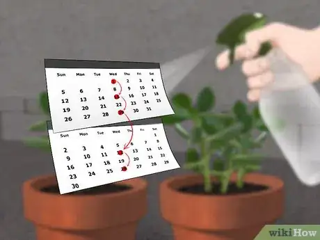 Image titled Kill Spider Mites Step 7