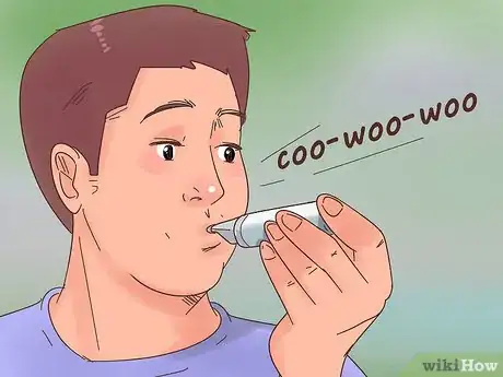 Image titled Encourage Doves to Coo Step 2