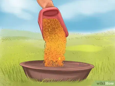 Image titled Care for Your Horse In the Winter Step 11