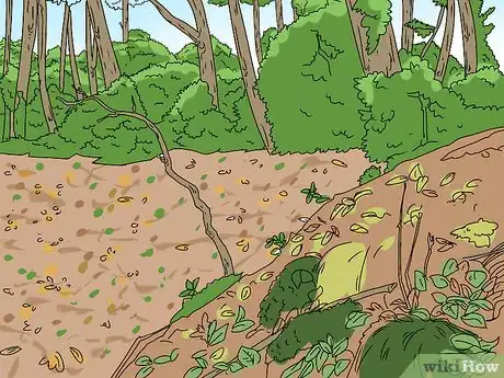 Image titled Feed Wildlife in the Autumn Step 3