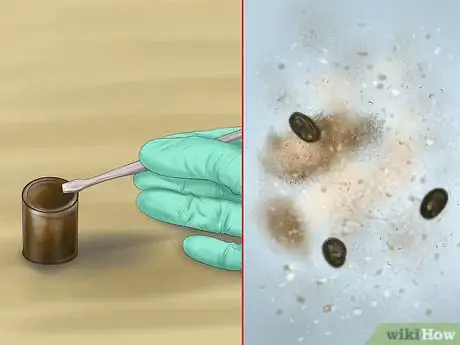 Image titled Pick a Healthy Adult Dog Step 9